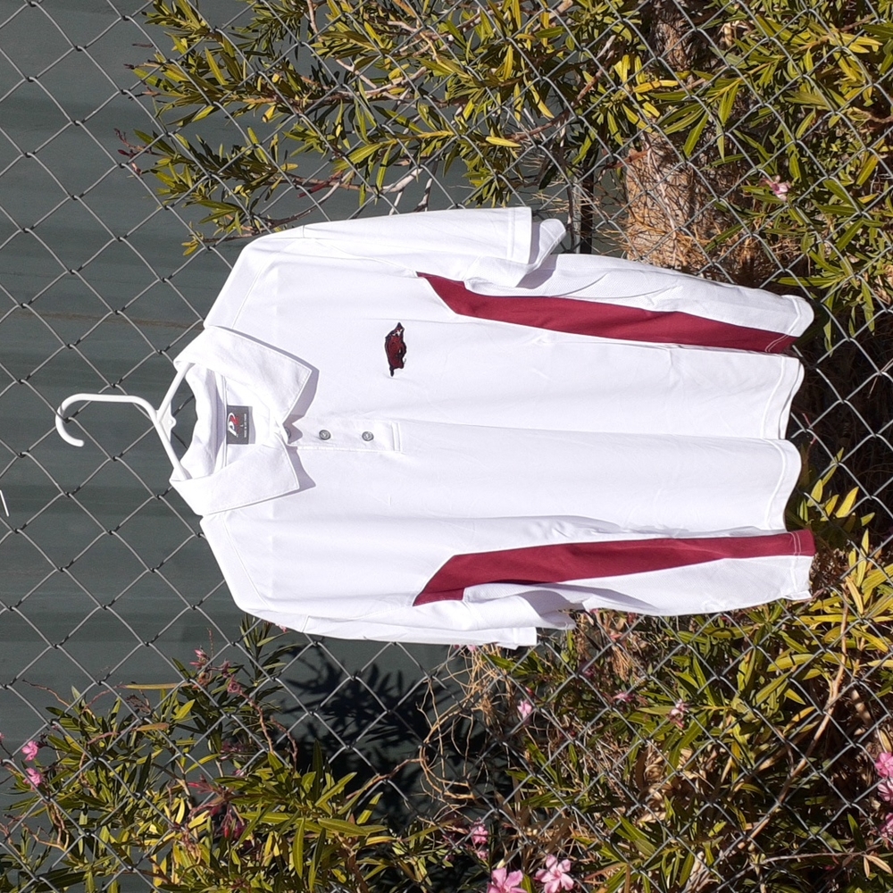 P2 by ProPlayer Sporty Warthog Dress Shirt, Size L